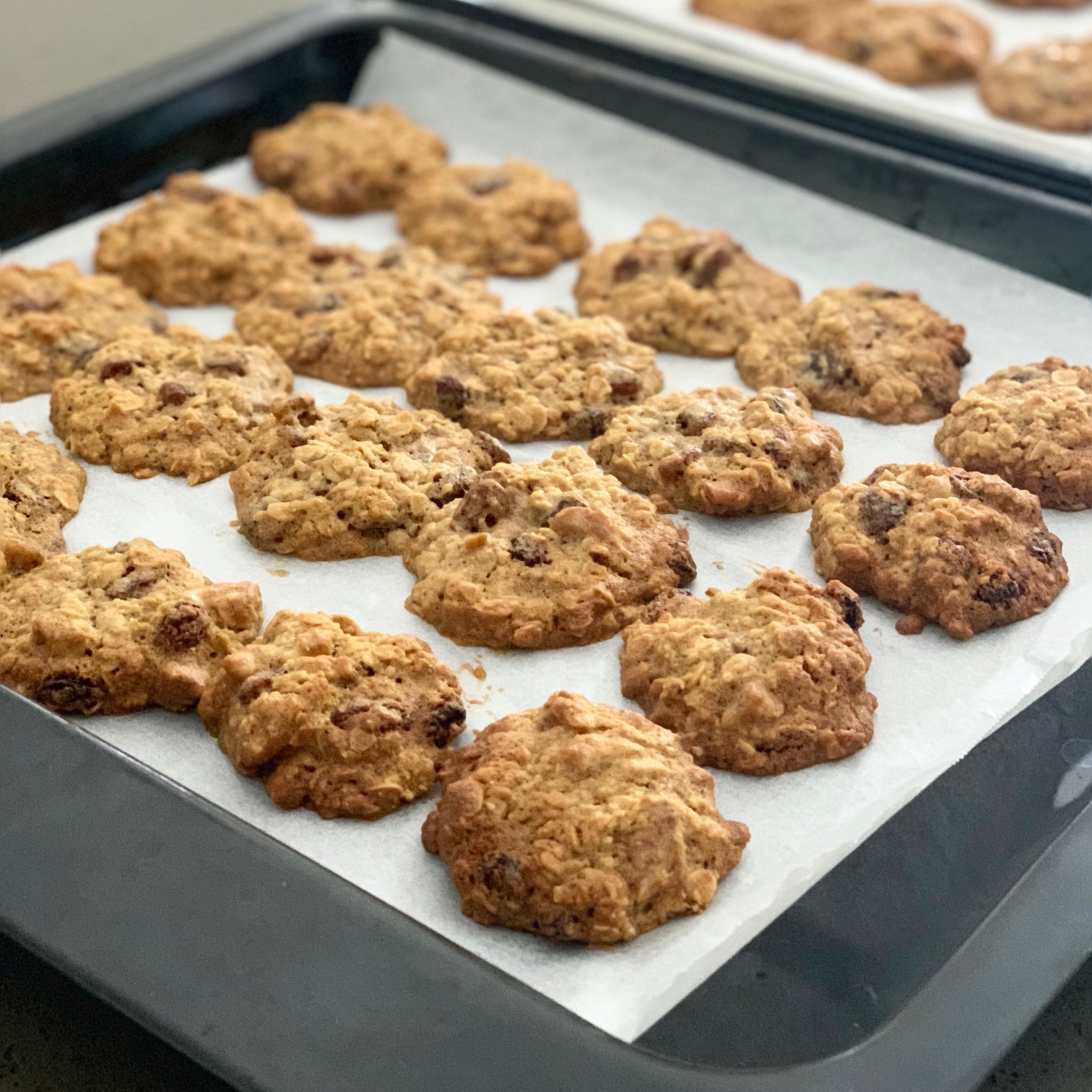 recipe | oatmeal, raisin & walnut cookies – thecattylife